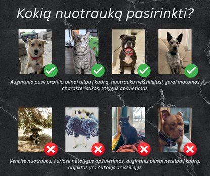 Spalvotas telefono dėklas su tapytu augintinio portretu