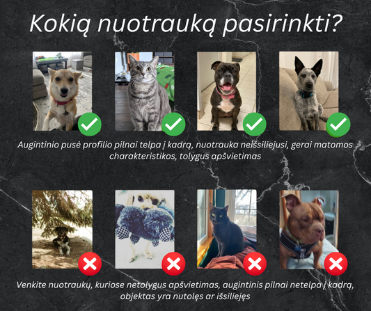 Skaidrus telefono dėklas su tapytu augintinio portretu