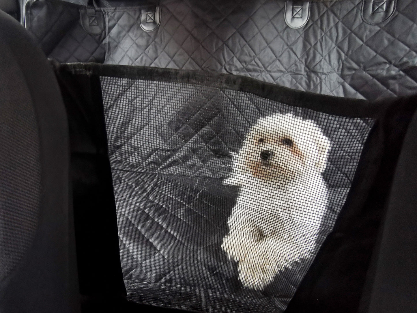 d3caa2d70059d3b2b73830e7e65f2abc