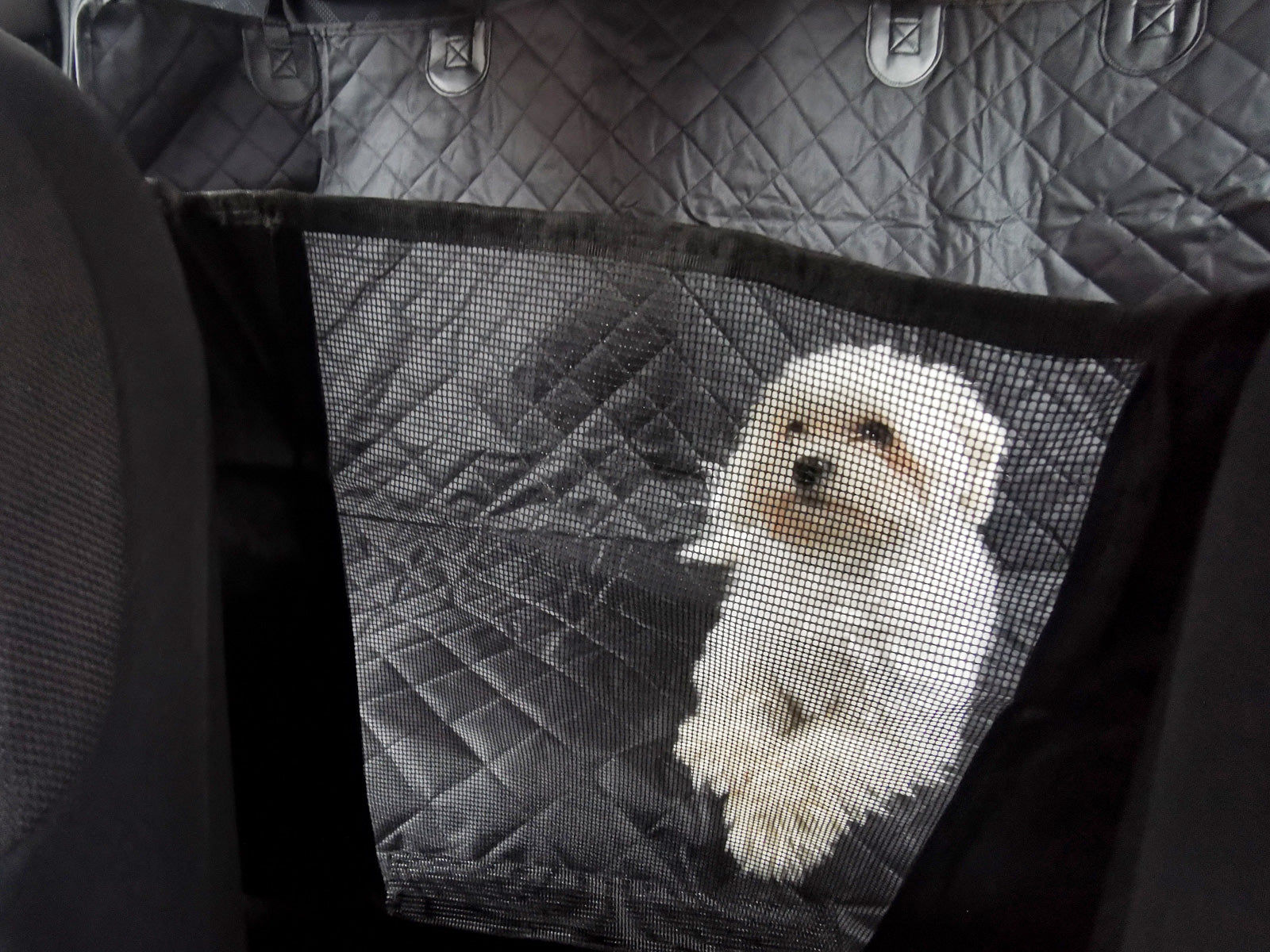 d3caa2d70059d3b2b73830e7e65f2abc